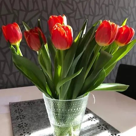 Apartamento Viihtyisa Erillistalo Puutarhalla Keha I Varrella *